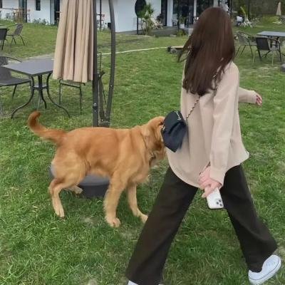 生死罗布泊
