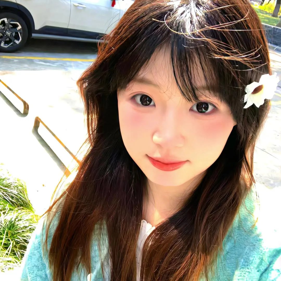 新鲁冰花